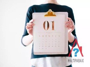 Сколько времени даётся на вступление в наследство